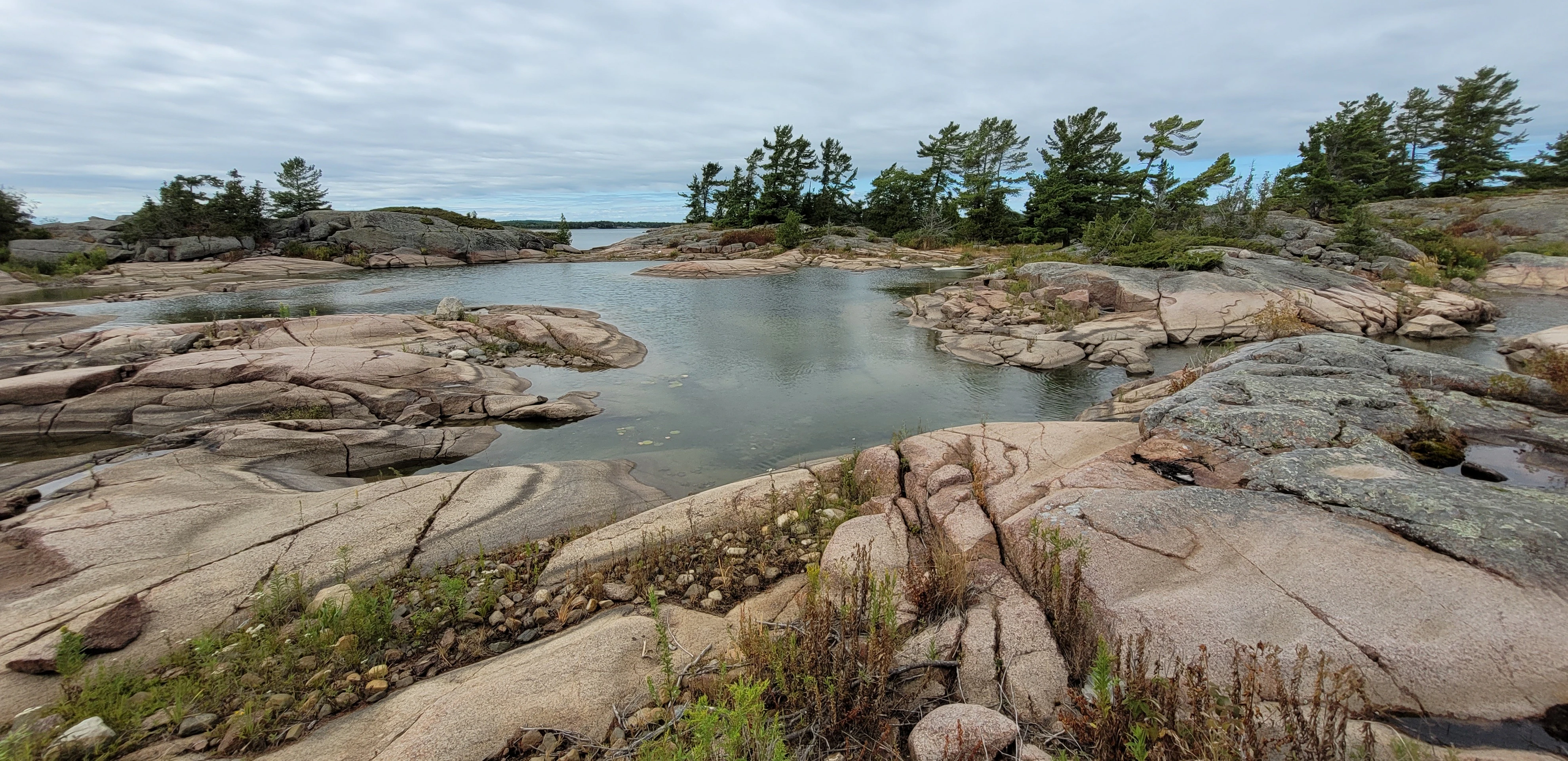A metaporphosed granite rock with swirling pink veins on a rock in the Georgian Bay near Phillip Edward Island